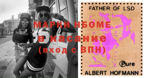 сатива Лабытнанги