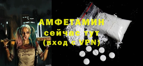 сатива Лабытнанги