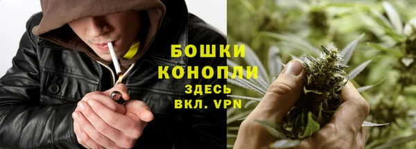 сатива Лабытнанги