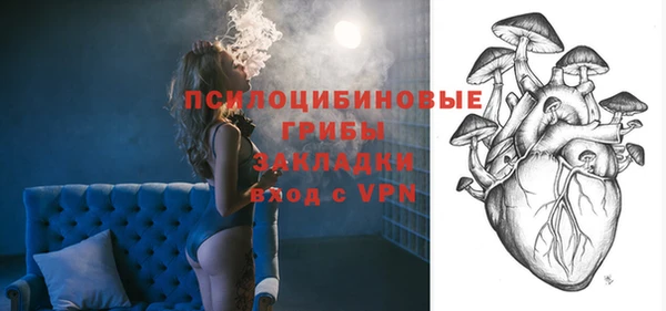 гидра Покачи