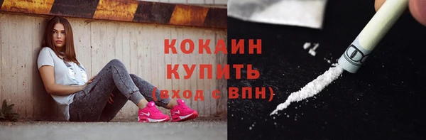 сатива Лабытнанги