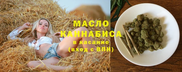 сатива Лабытнанги
