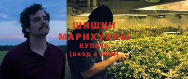 сатива Лабытнанги
