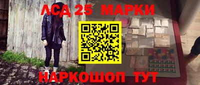 прущие грибы Кунгур