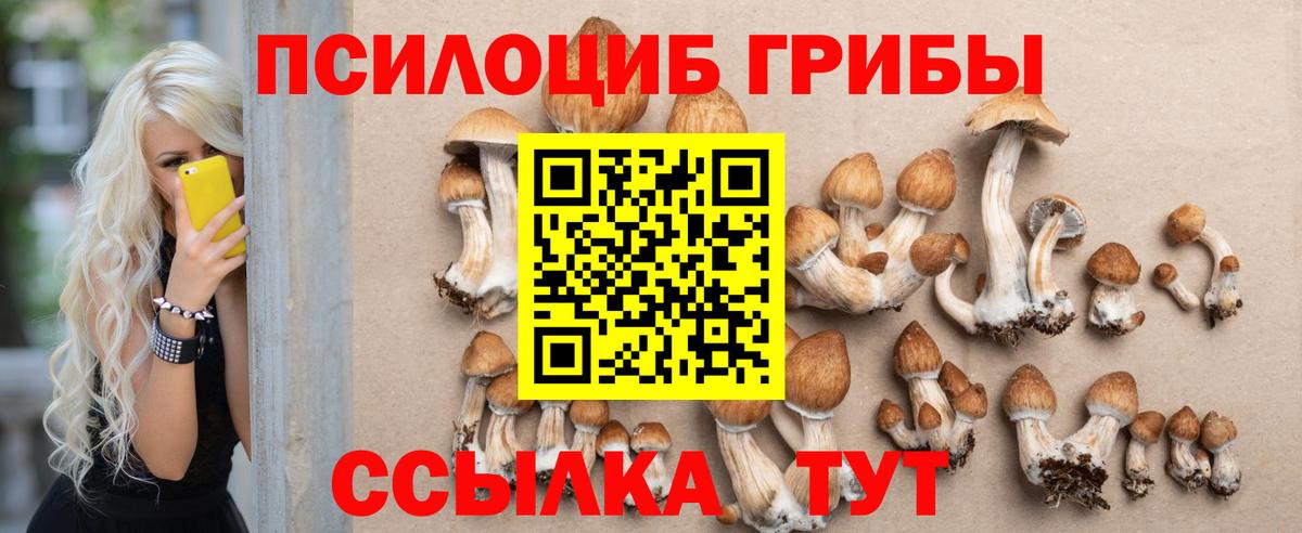 Галлюциногенные грибы Psilocybe  где найти наркотики  Учалы 