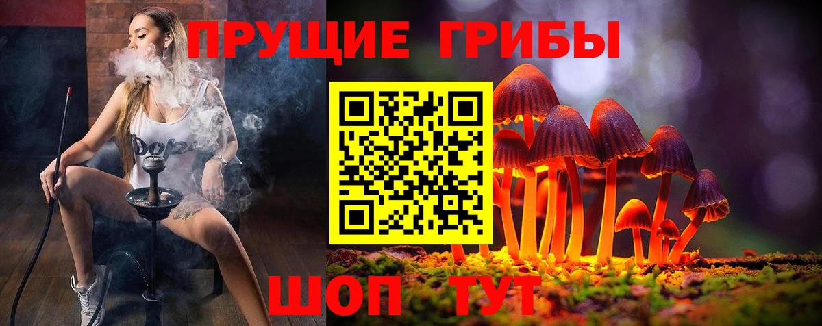 Галлюциногенные грибы MAGIC MUSHROOMS  Вход с VPN  Учалы 